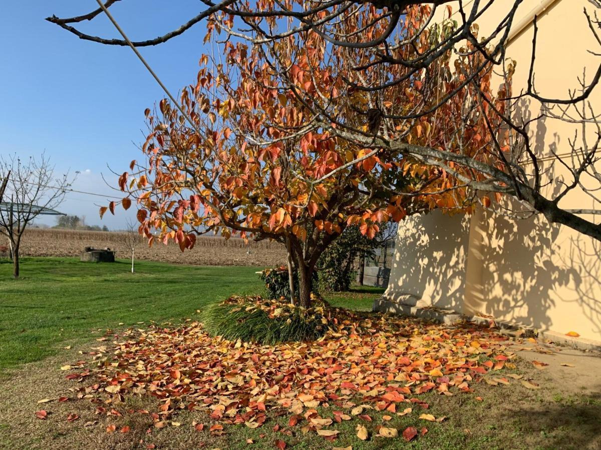 Agriturismo Cascina Mariale Albiano D'Ivrea Exterior photo